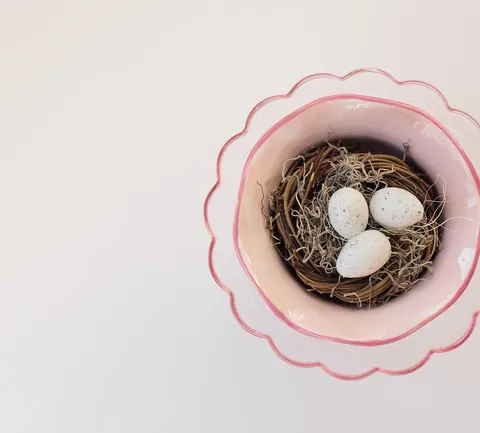 mice in a nest