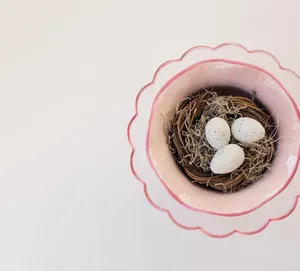 mice in a nest